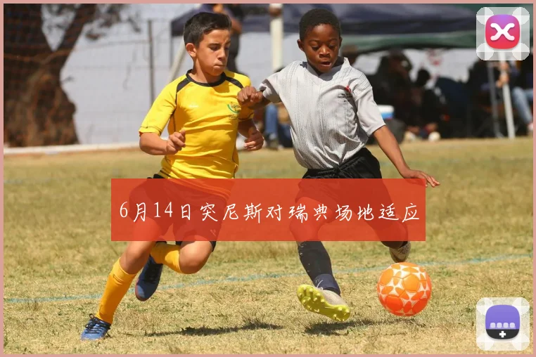 6月14日突尼斯对瑞典场地适应