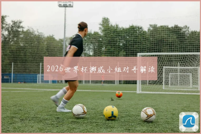 2026世界杯挪威小组对手解读