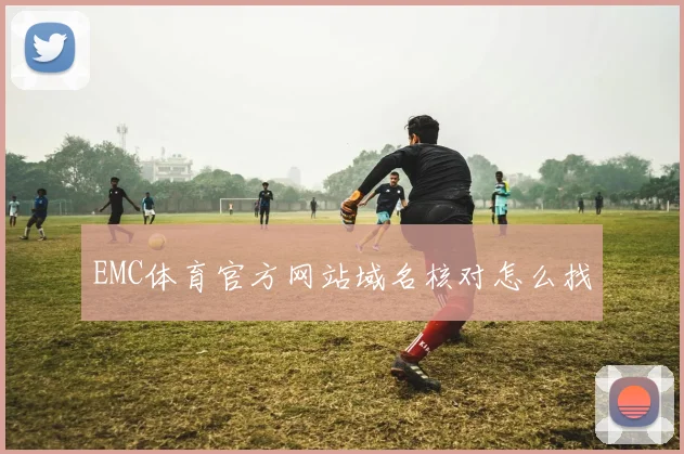 EMC体育官方网站域名核对怎么找