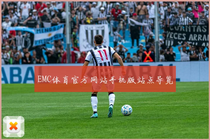 EMC体育官方网站手机版站点导览