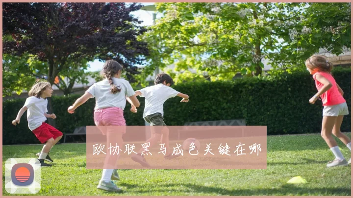 欧协联黑马成色关键在哪