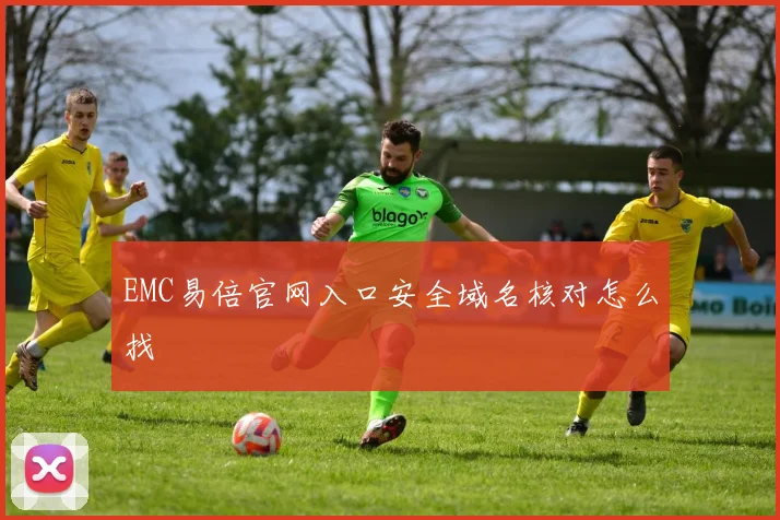 EMC易倍官网入口安全域名核对怎么找