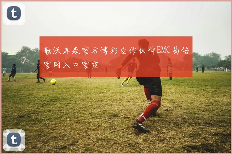 勒沃库森官方博彩合作伙伴EMC易倍官网入口官宣